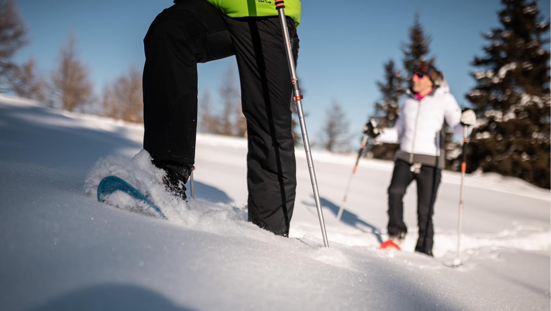 Snowshoe Hike