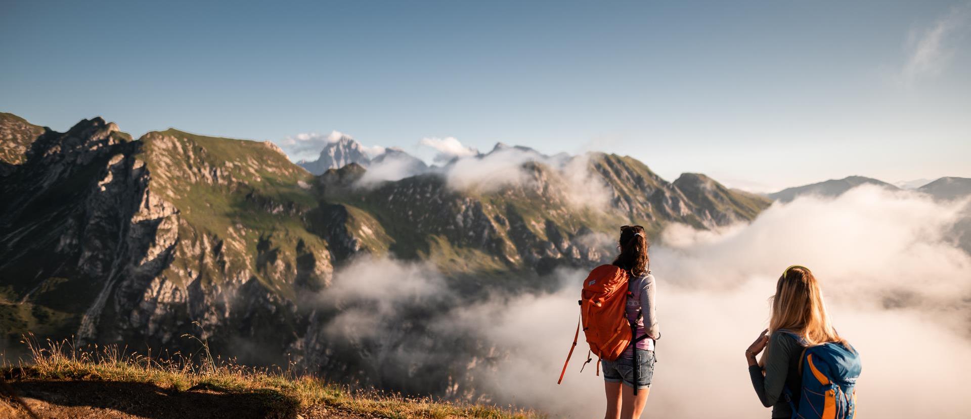 Bergwanderung im Sommer